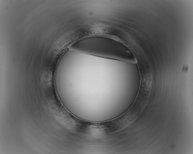 X0000111630556200907311230