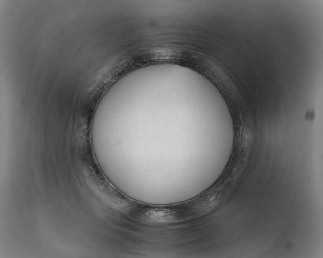 X0000111630557200907311230