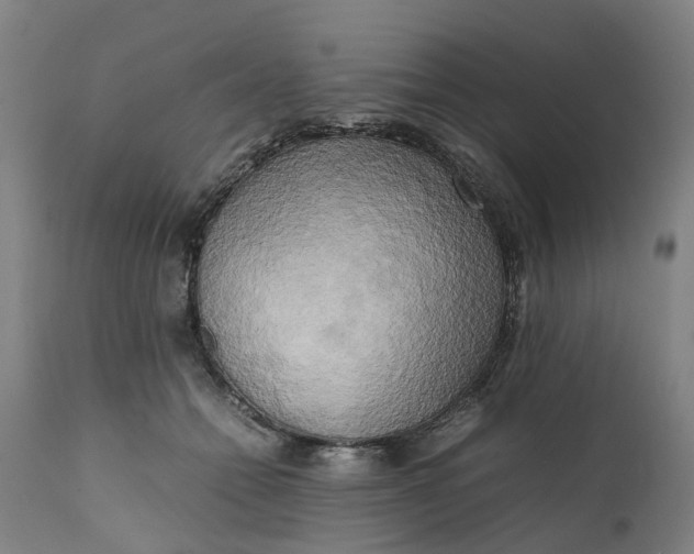 X0000111630558200907311230