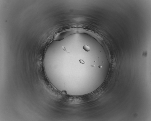 X0000111630559200907311230