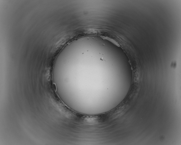 X0000111630560200907311230