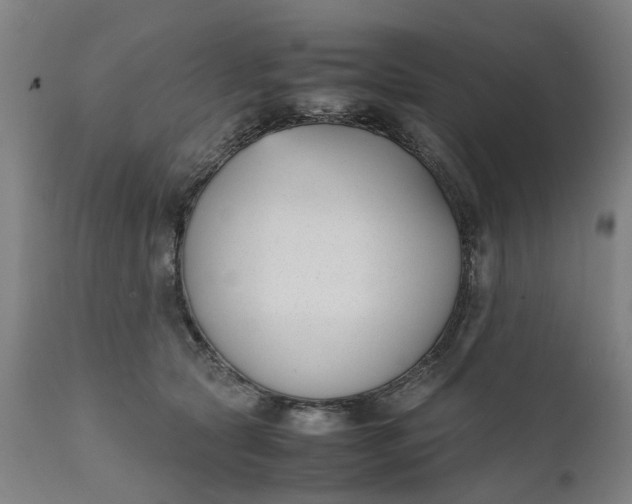 X0000111630561200907311230