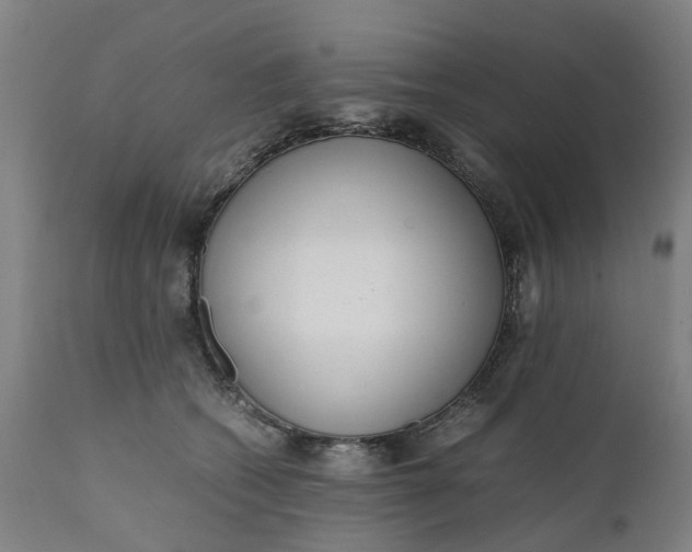 X0000111630562200907311230