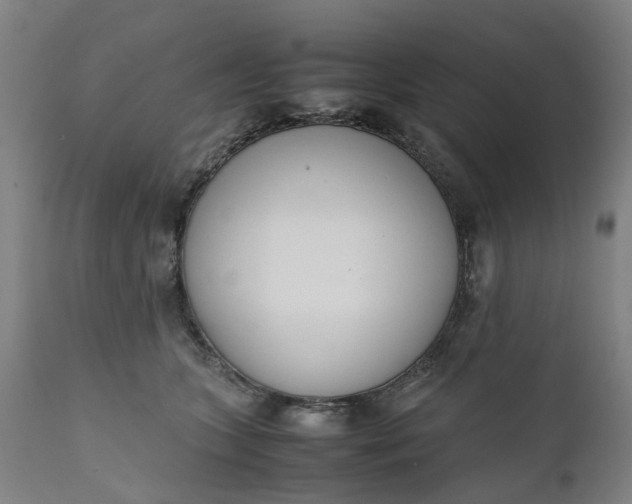 X0000111630563200907311230