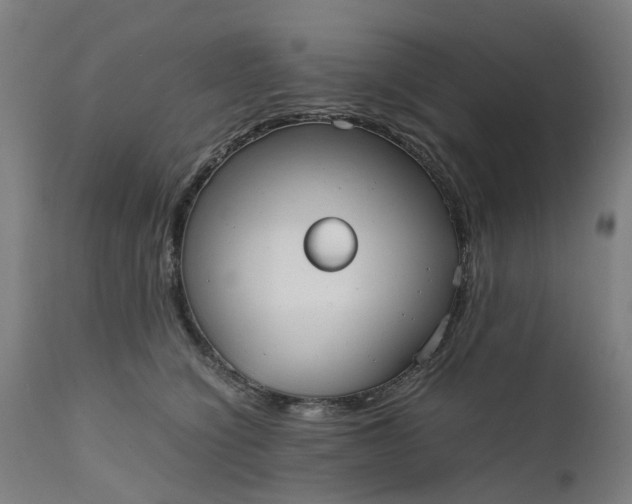 X0000111630564200907311230