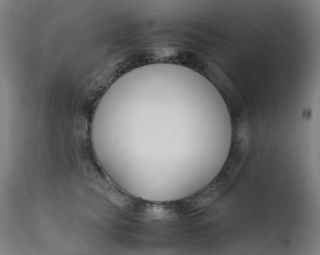 X0000111630565200907311230