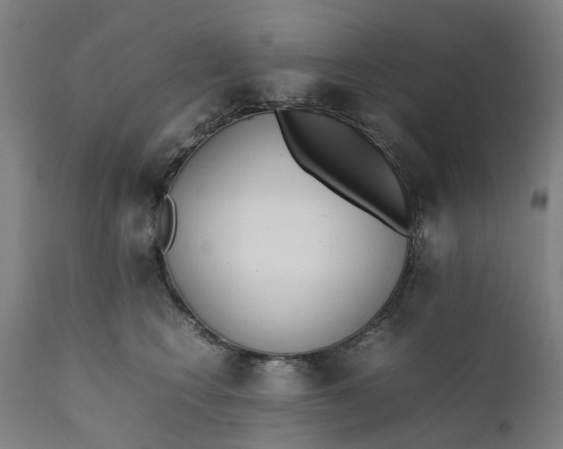 X0000111630566200907311230