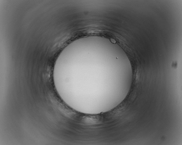 X0000111630567200907311230