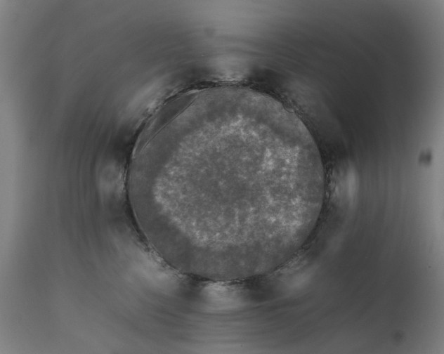 X0000111630568200907311230