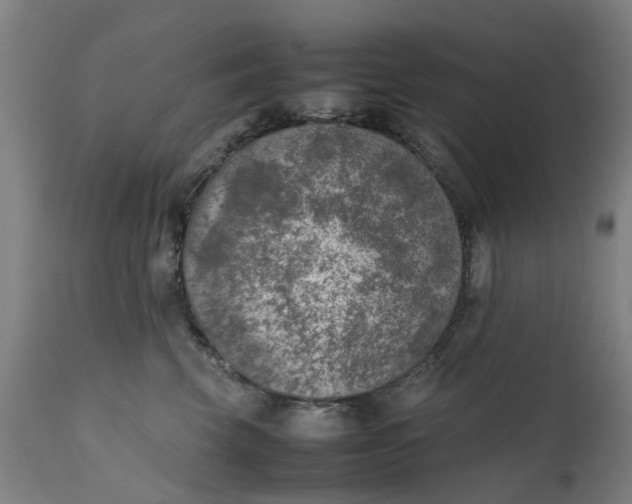 X0000111630569200907311230