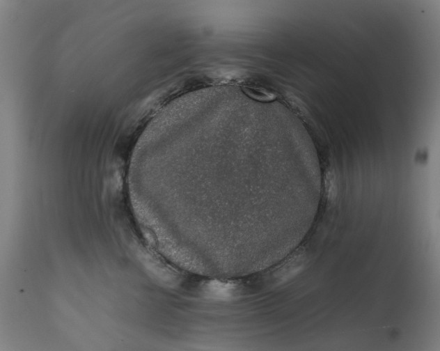 X0000111630570200907311230