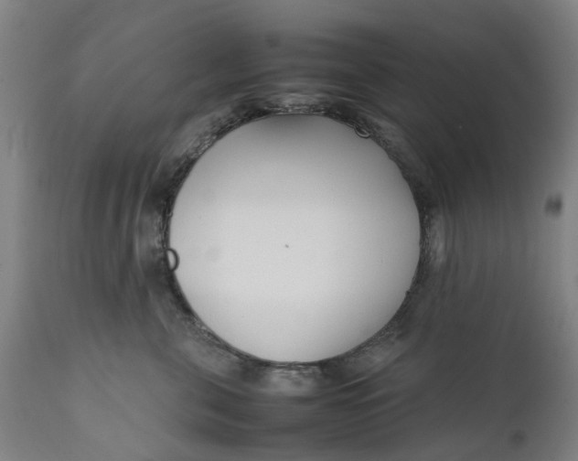 X0000111630571200907311230