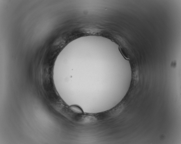 X0000111630572200907311230