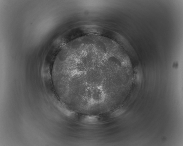 X0000111630573200907311230