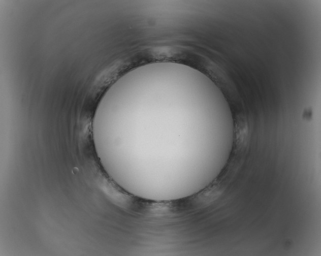 X0000111630574200907311230