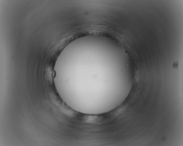 X0000111630575200907311230