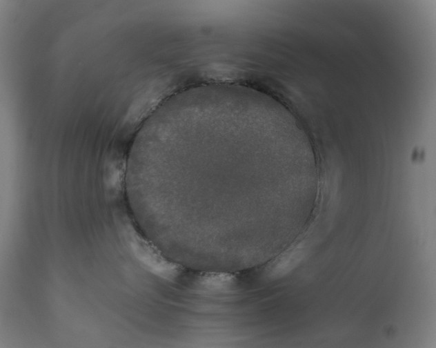 X0000111630576200907311230