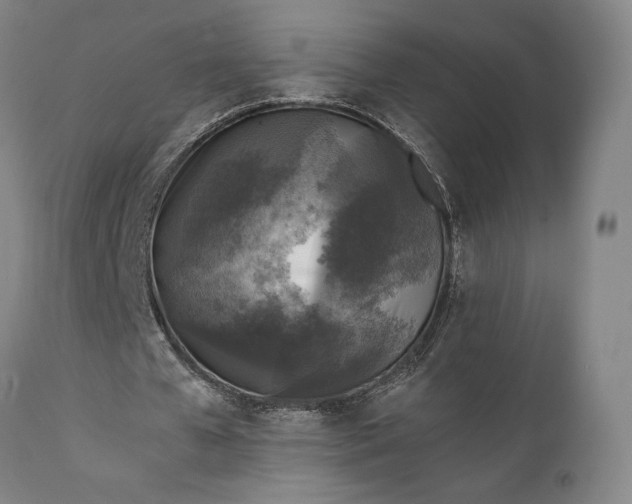 X0000111630577200907311229