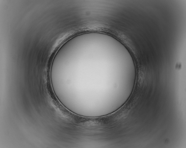 X0000111630578200907311229