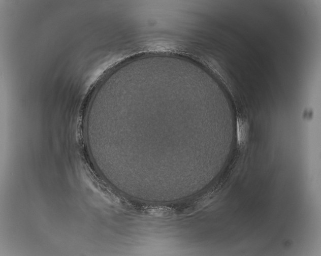 X0000111630579200907311229