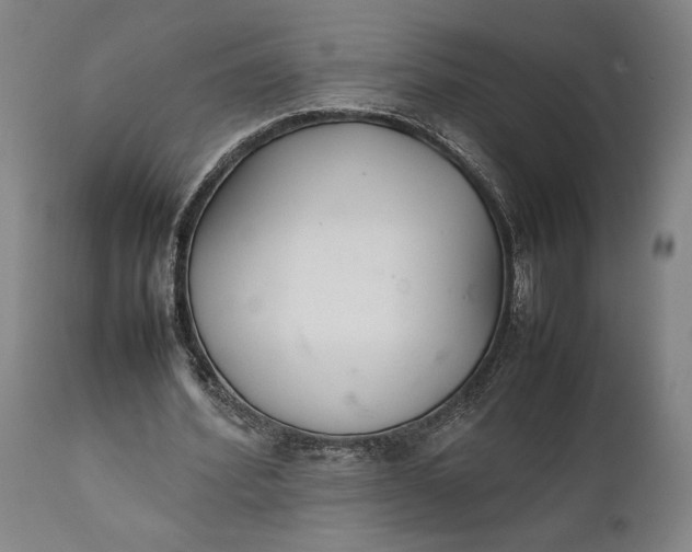 X0000111630580200907311229