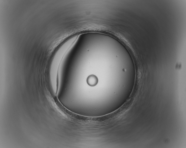 X0000111630581200907311229