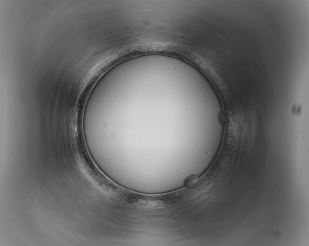 X0000111630582200907311229