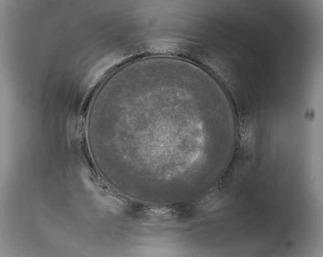 X0000111630583200907311229