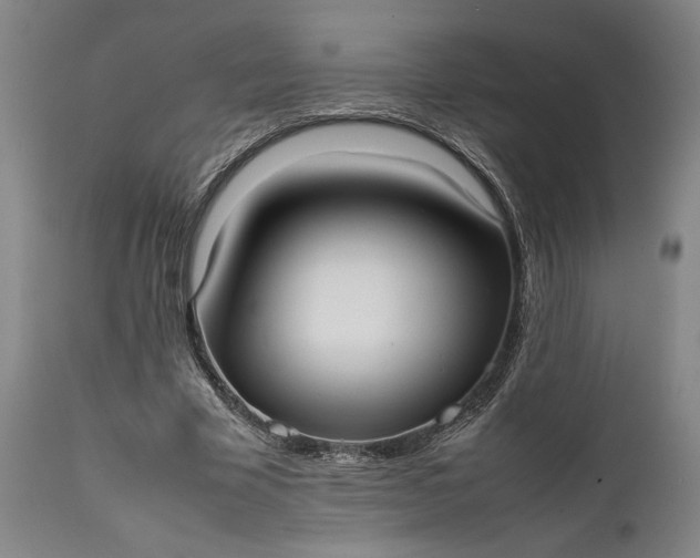 X0000111630585200907311229