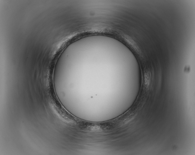 X0000111630588200907311229