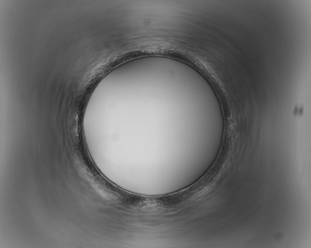 X0000111630589200907311229