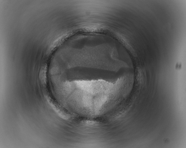 X0000111630590200907311229