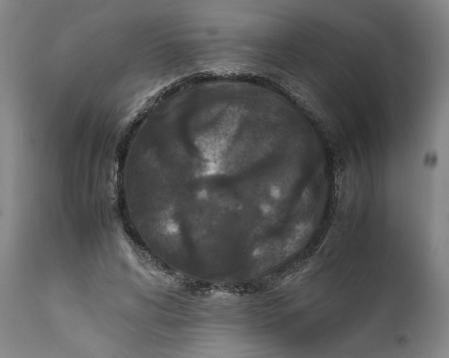 X0000111630592200907311229