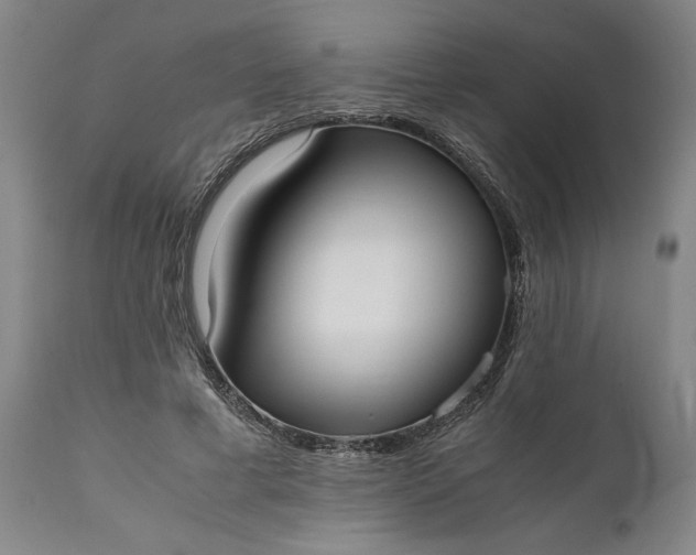 X0000111630593200907311229