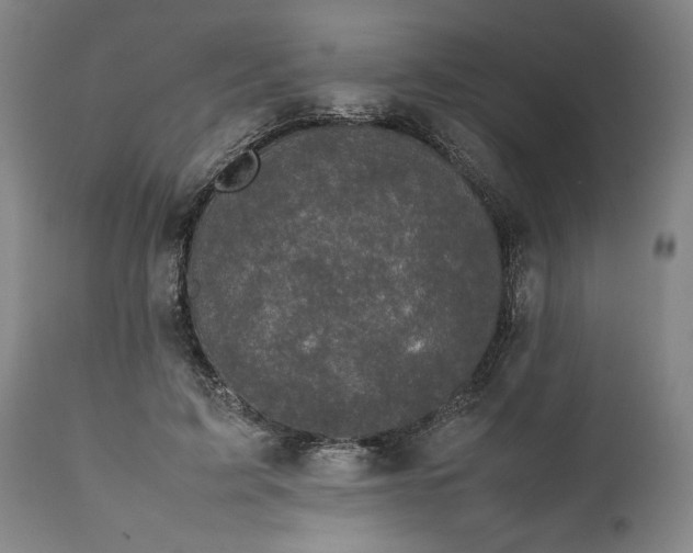 X0000111630595200907311229