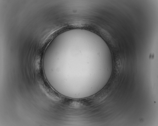 X0000111630596200907311229