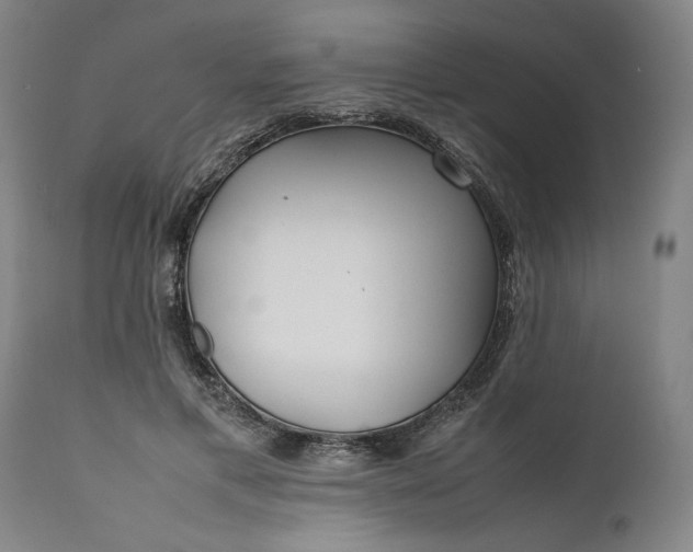 X0000111630597200907311229