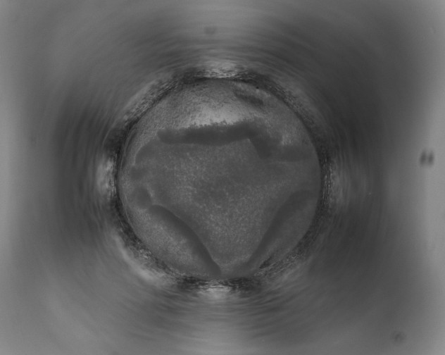 X0000111630598200907311229