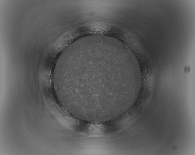 X0000111630599200907311229