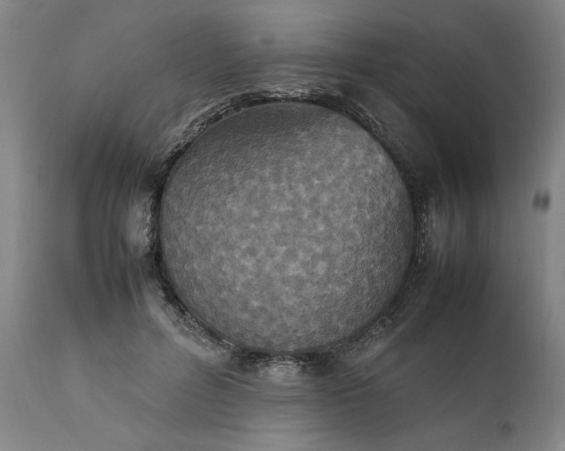 X0000111630600200907311229