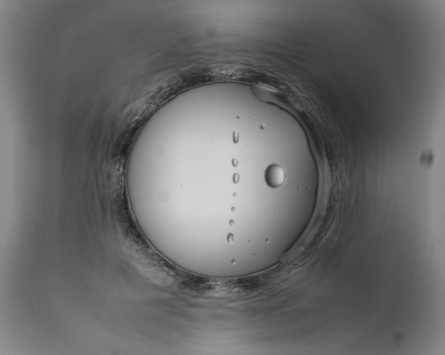 X0000111630601200907311229