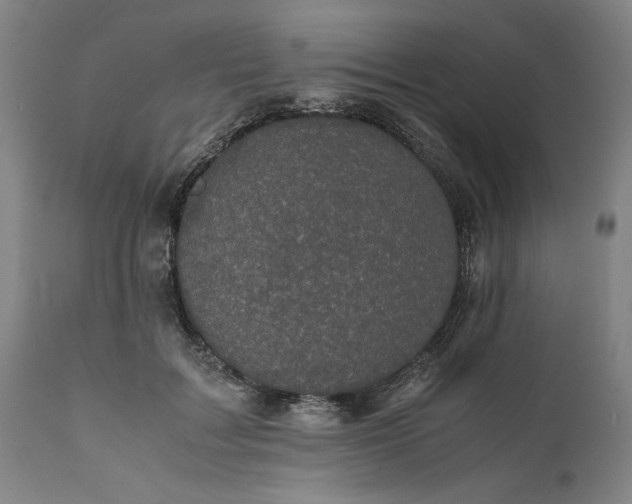 X0000111630603200907311229