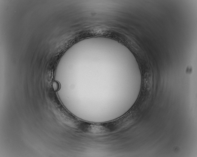 X0000111630605200907311229