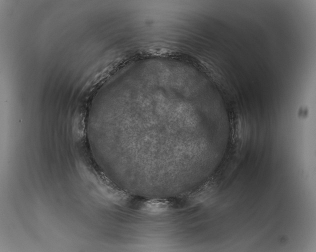 X0000111630606200907311229