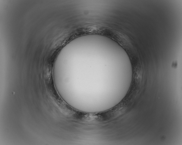 X0000111630607200907311229