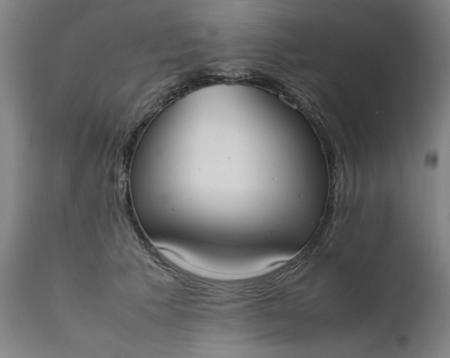 X0000111630609200907311229