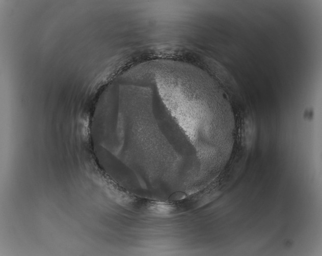 X0000111630610200907311229