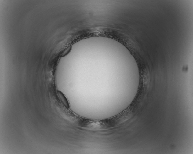 X0000111630611200907311229