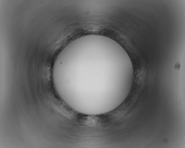 X0000111630612200907311229