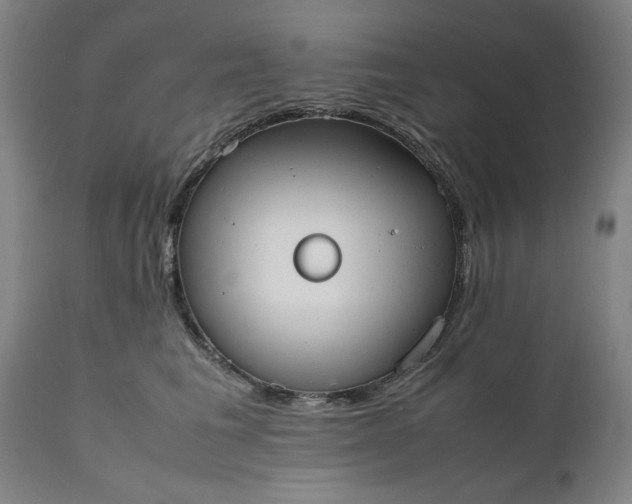 X0000111630613200907311229